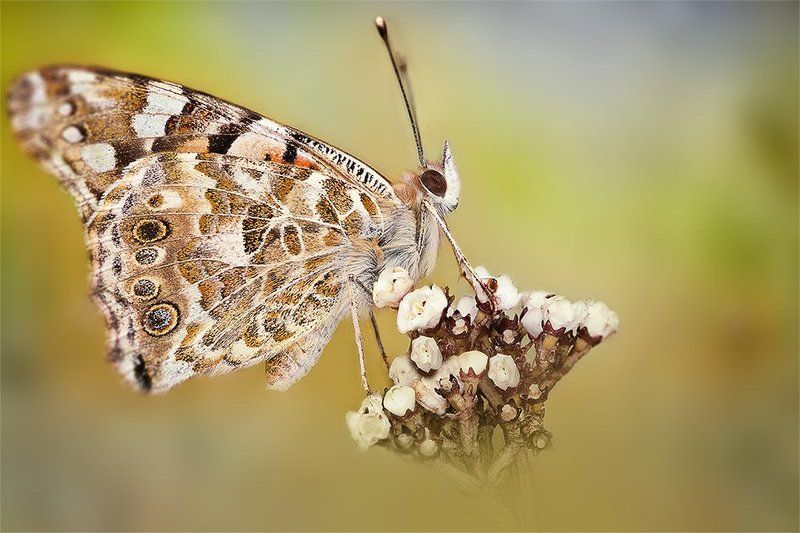Together фото превью