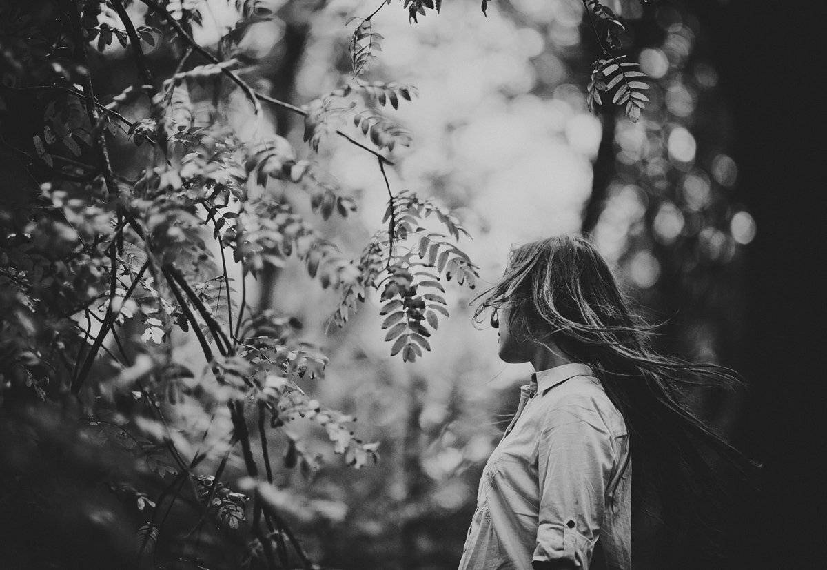 , Гладиш Юрій