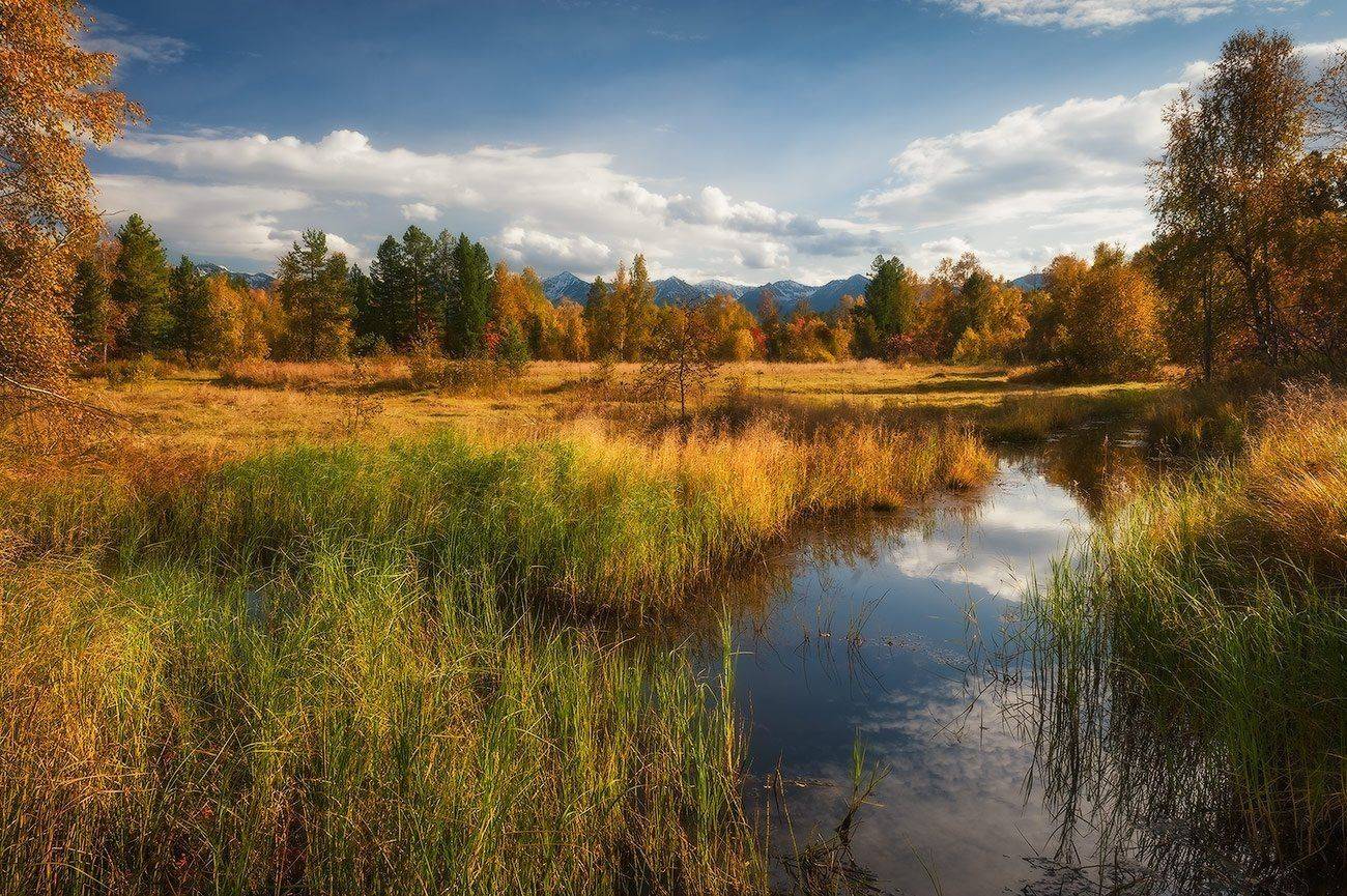 , Константин Пинигин