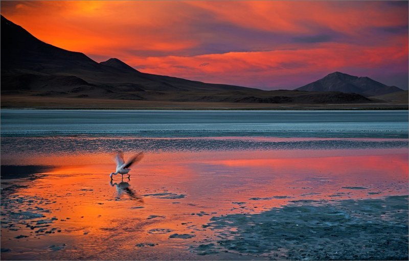 Пора фото превью