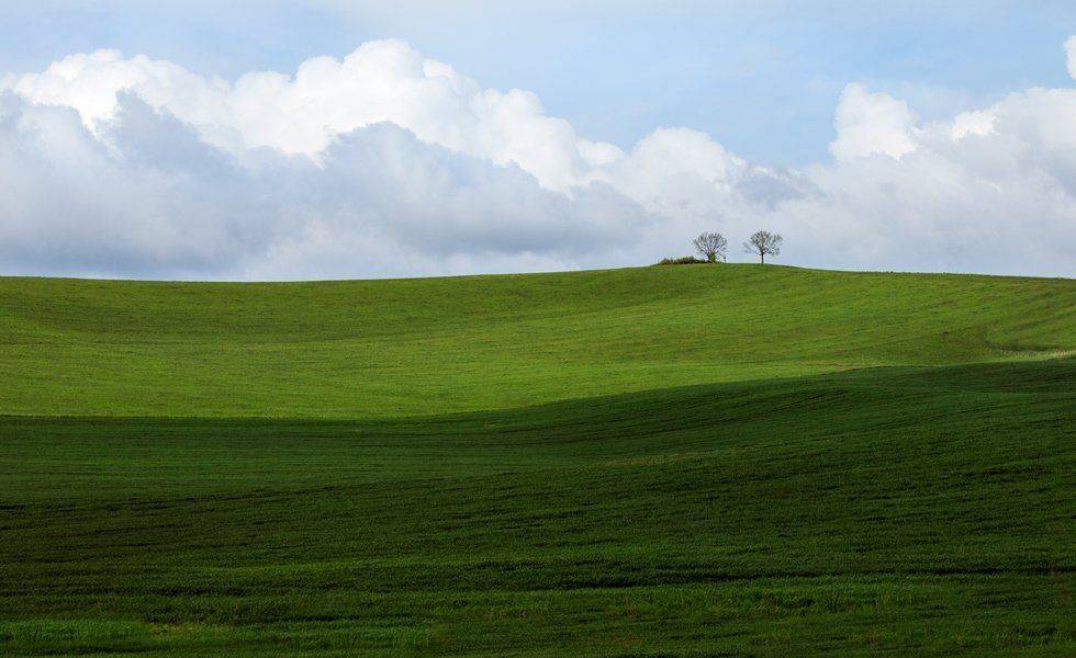 , Людмила Прокофьева