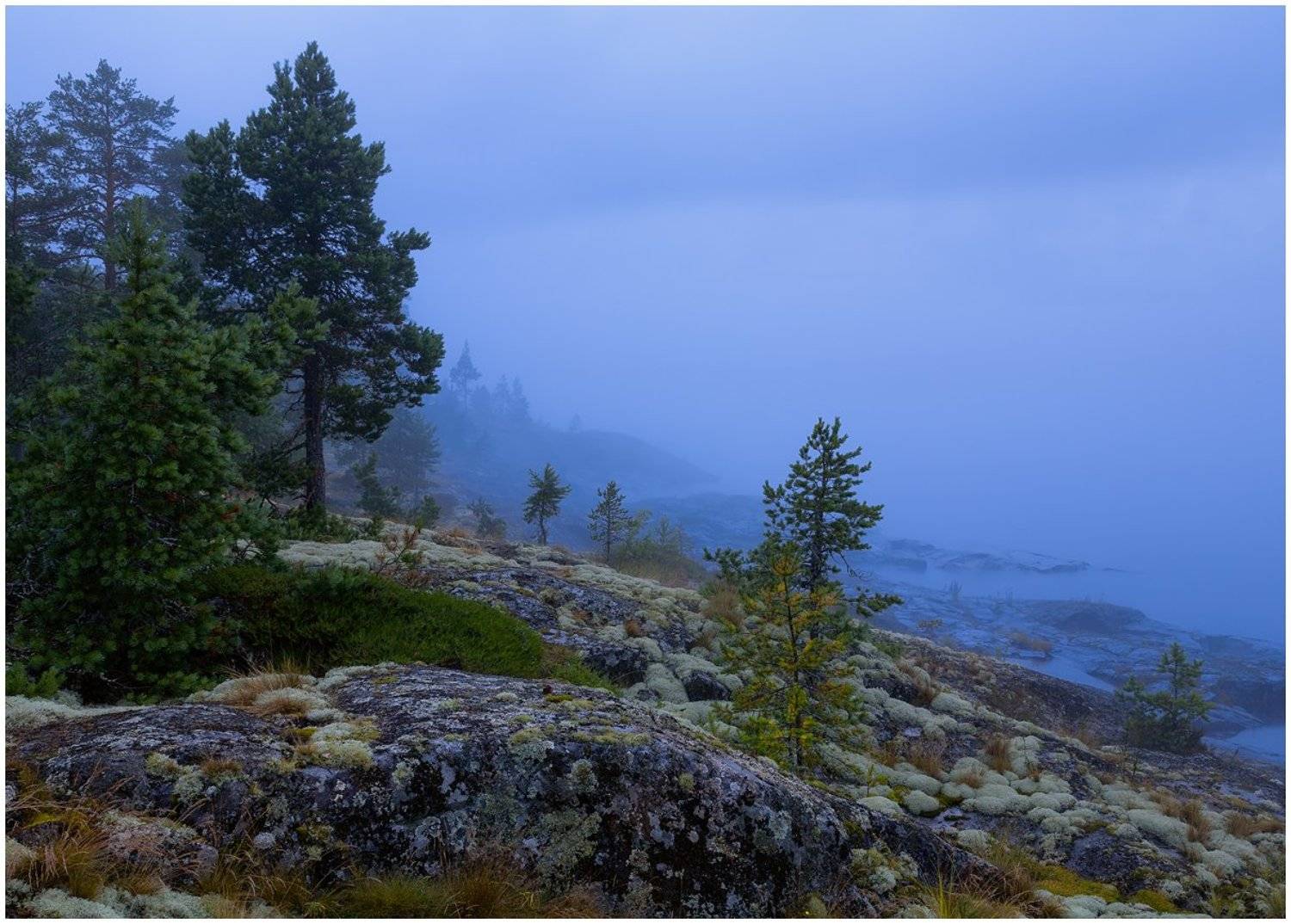 , Семёнов Дмитрий