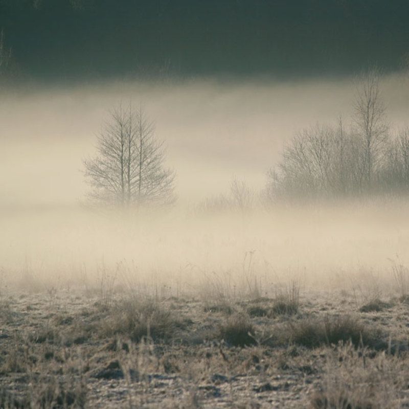 ... фото превью