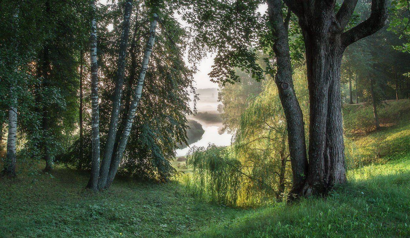 тригорское., псковская, область., Андрей Леонидович