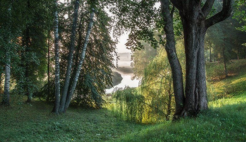 тригорское., псковская, область. Благое утро фото превью