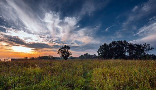 Закат за огородом