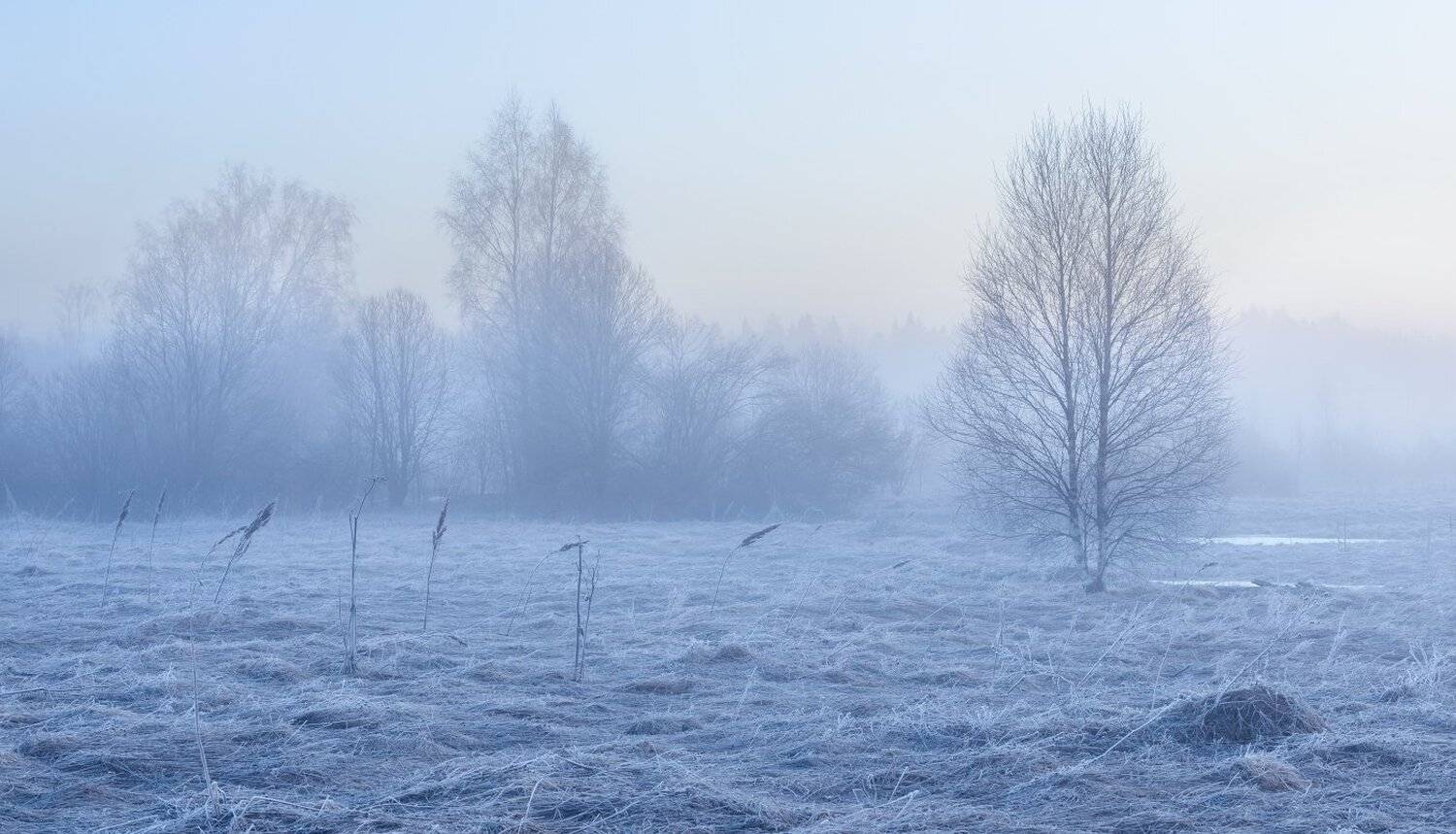, Максим Евдокимов
