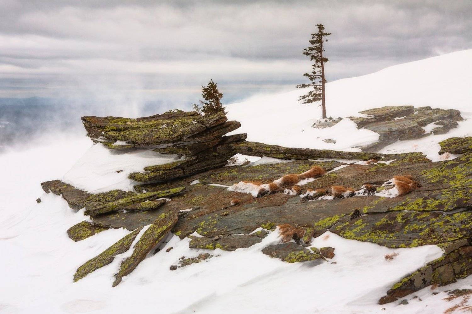 Метель, marateaman