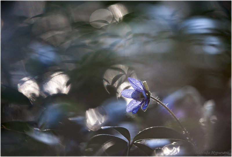 Тревожное время фото превью