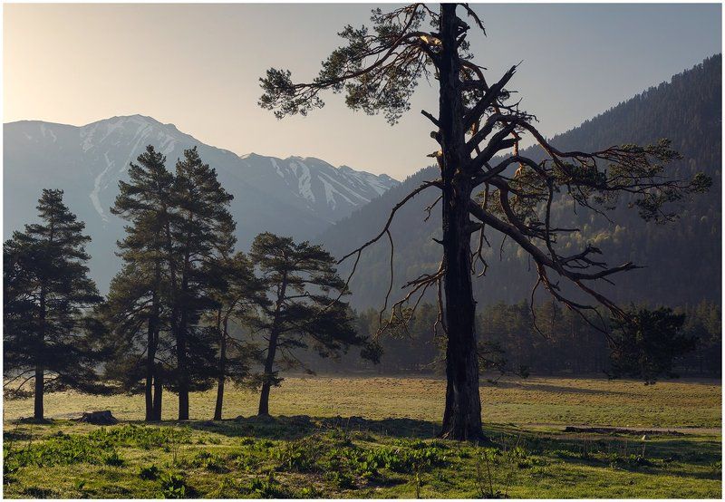 Утренняя архызская фото превью