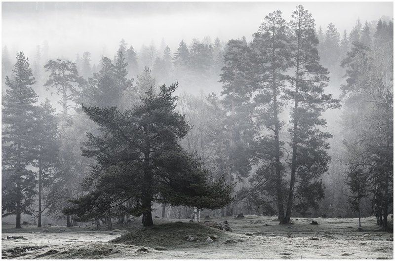 Вышел немец из тумана, вынул ножик из кармана, буду резать, буду бить, все равно тебе водить (что-то припомнилась детская считалочка) фото превью