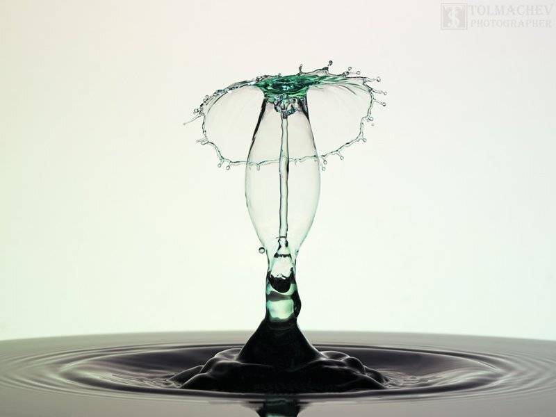 , Сергей Толмачев