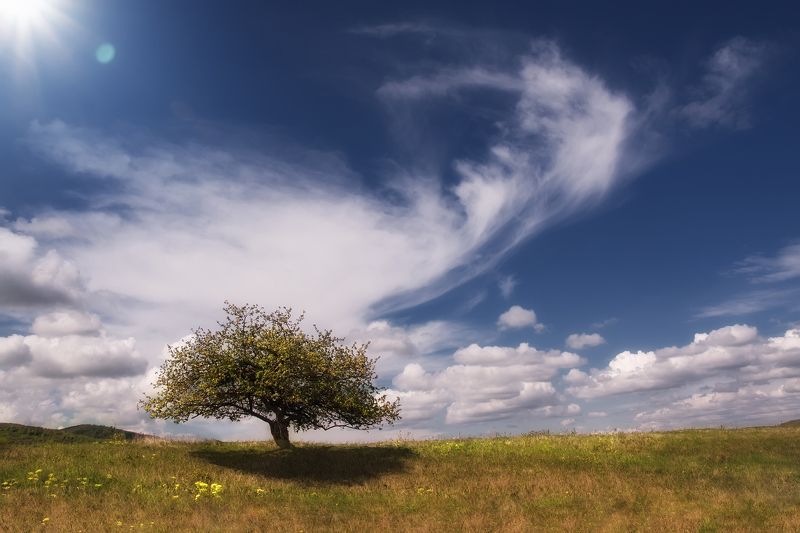 Land фото превью
