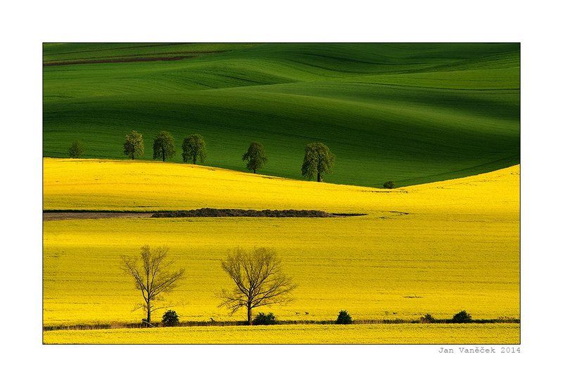field alley фото превью