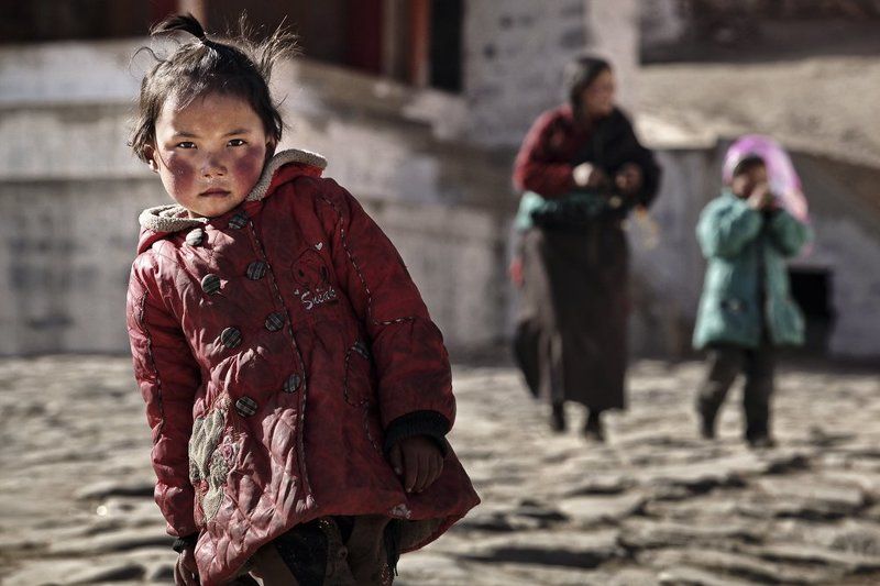 Buddha фото превью