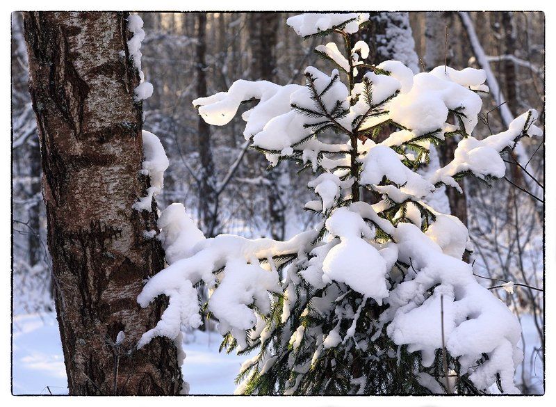 Вроде как была зима... фото превью