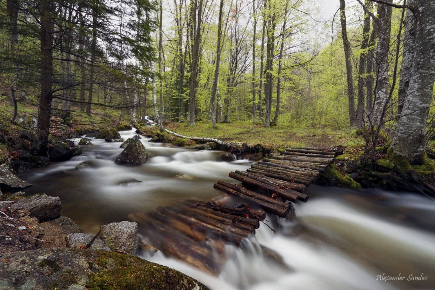 , Александър Сандев