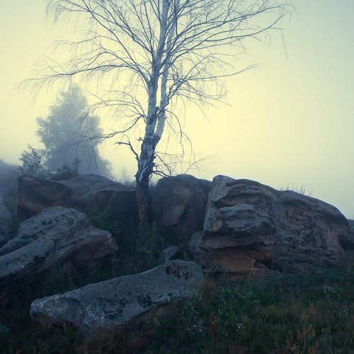 Во поле берёзка стояла