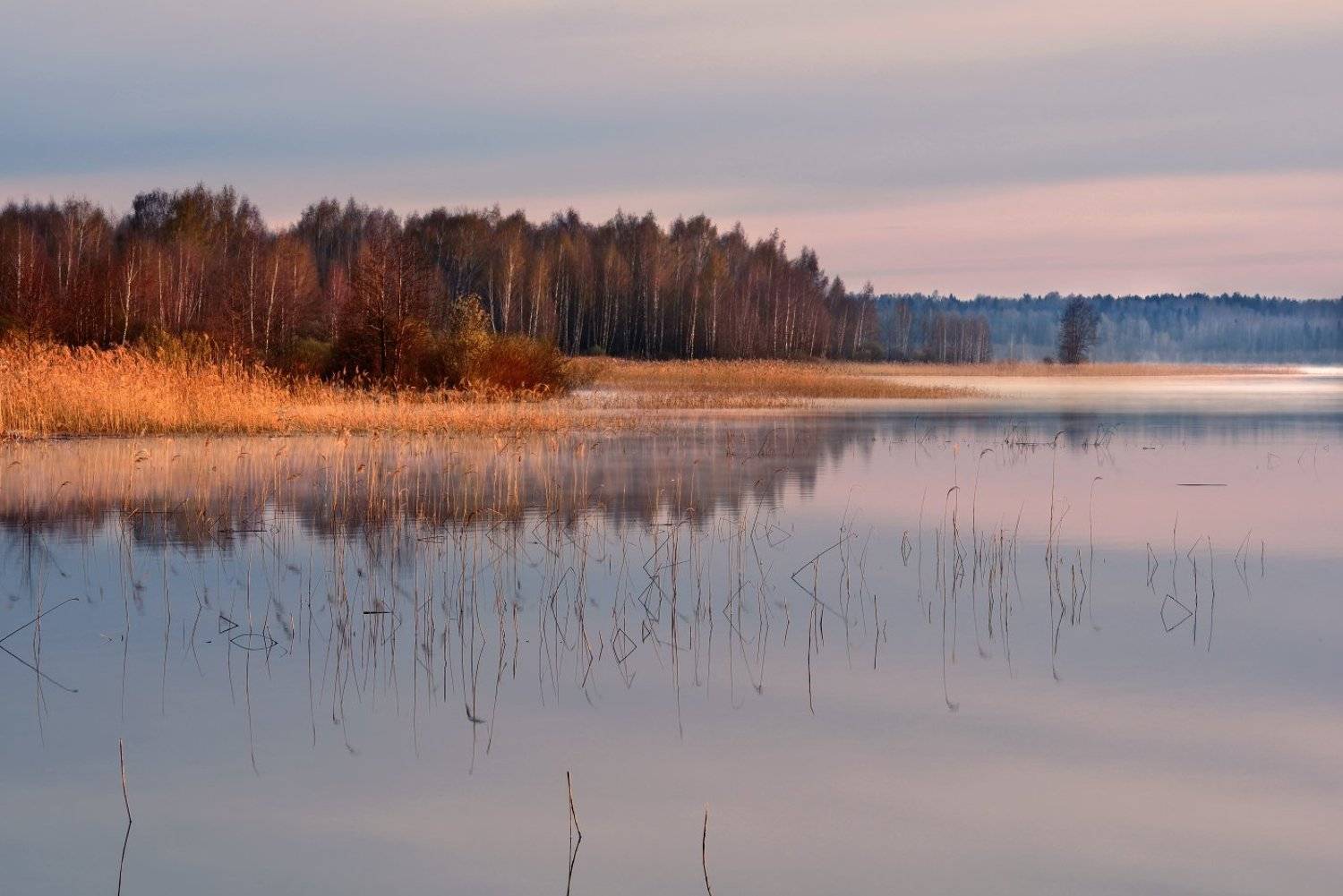 , Максим Евдокимов