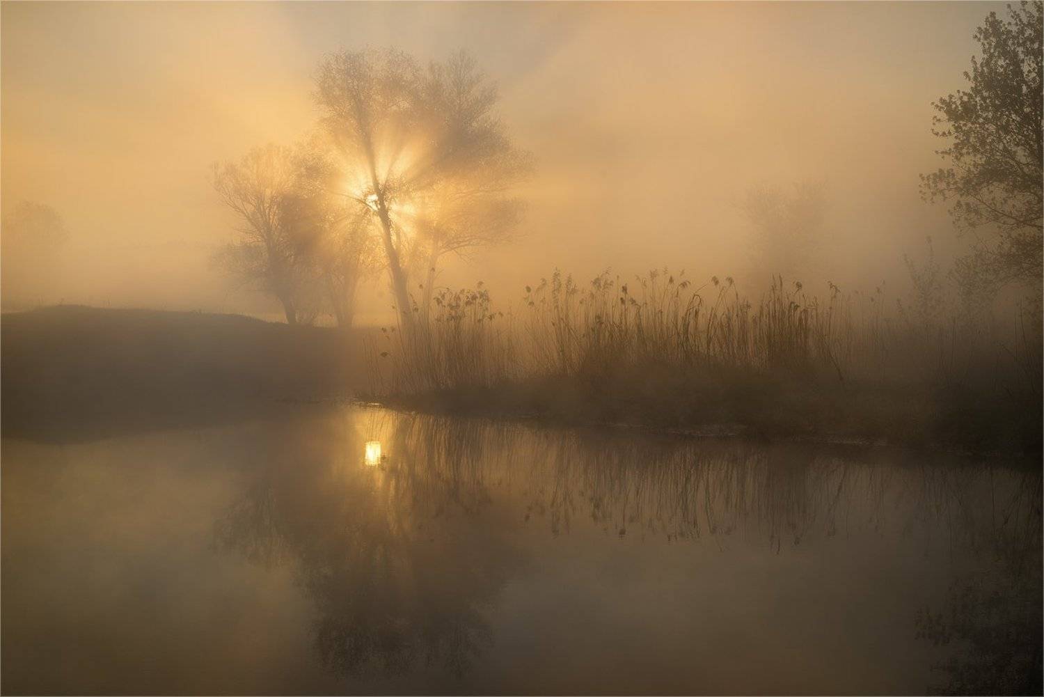 , Александр Киценко