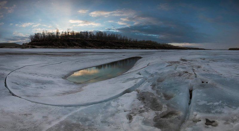 Весенняя паутина фото превью