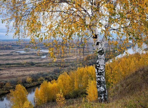На берегу Клязьмы