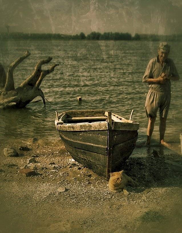 A story about a fisherman, a boat and a cat .. Автор: Dimitar Stoyanov , Dimitar Stoyanov