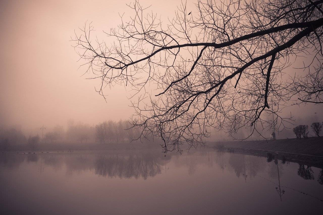 , Александр Аседач