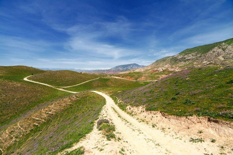 Сарбанд фото превью
