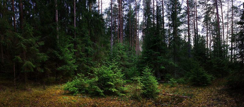 Юнное поколение фото превью