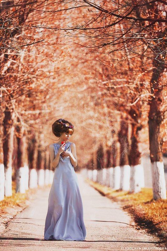 Аленький цветочек фото превью