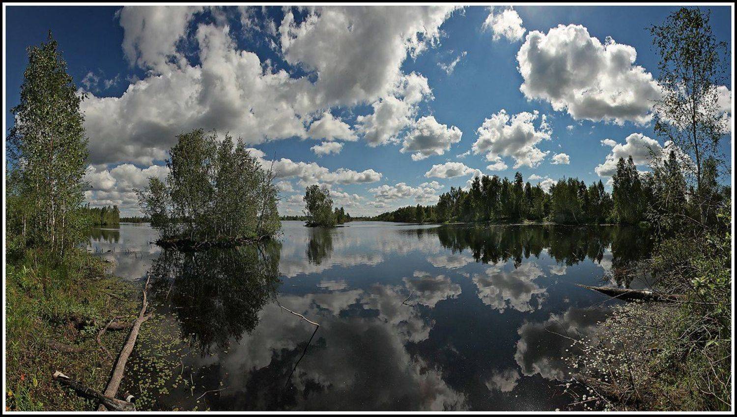 , Лихарев Александр