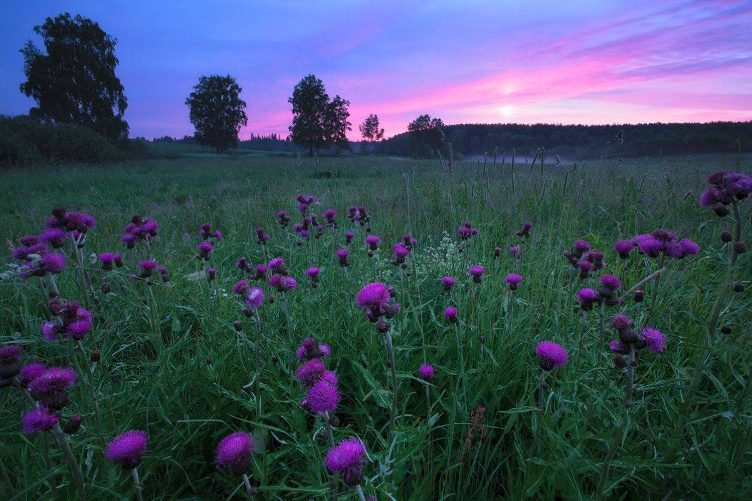 , Семёнов Дмитрий