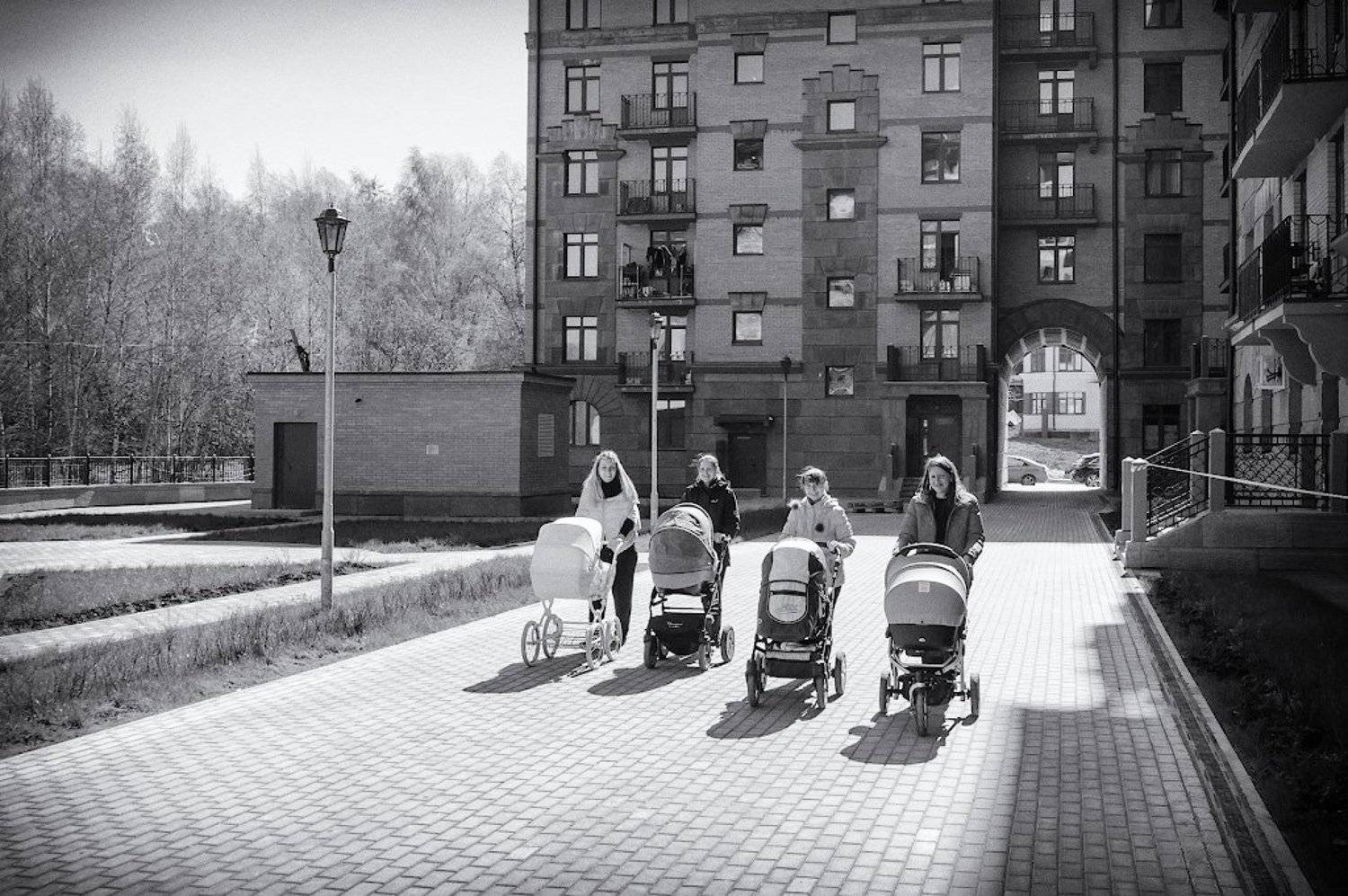 , Лунный Ежик