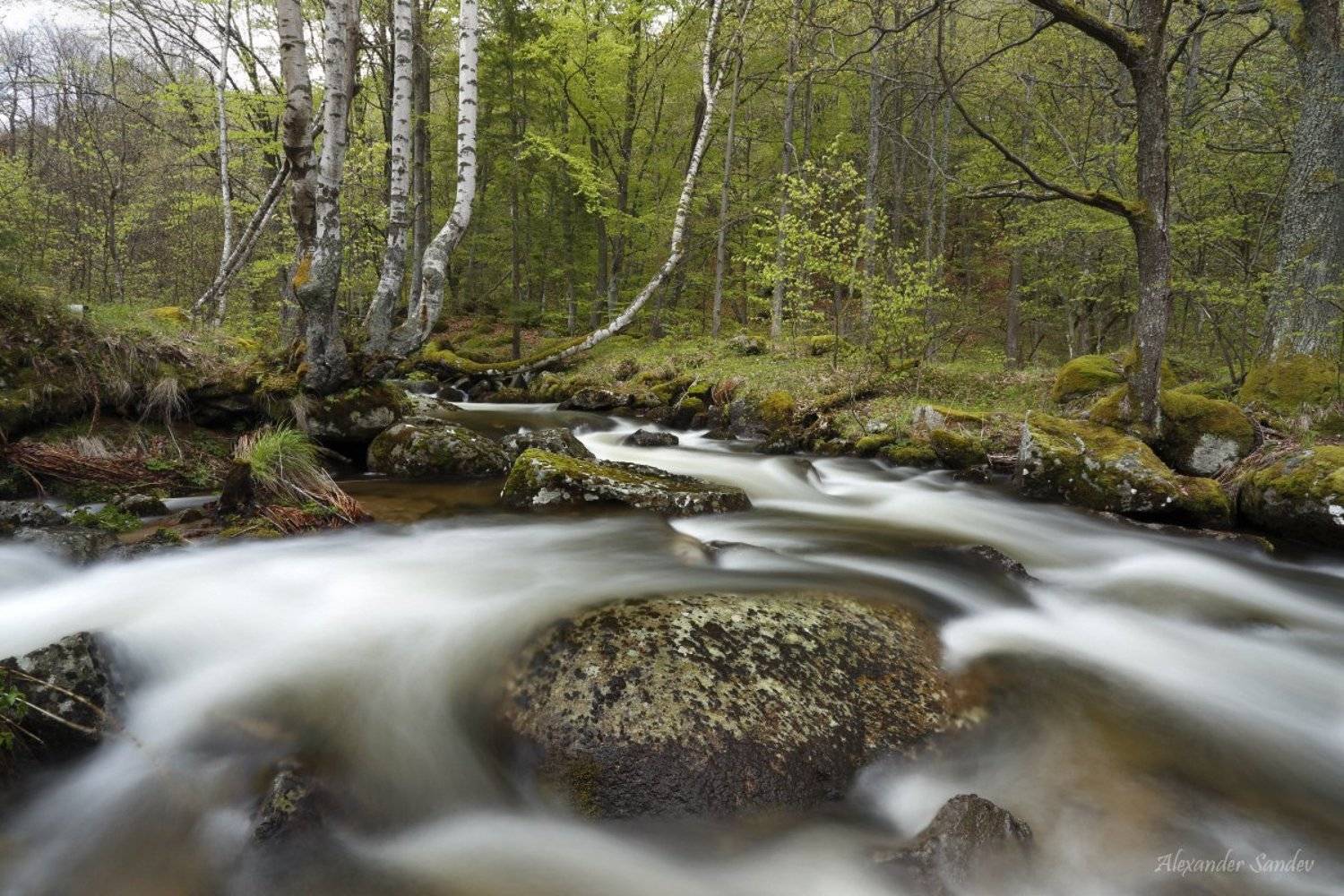 , Александър Сандев