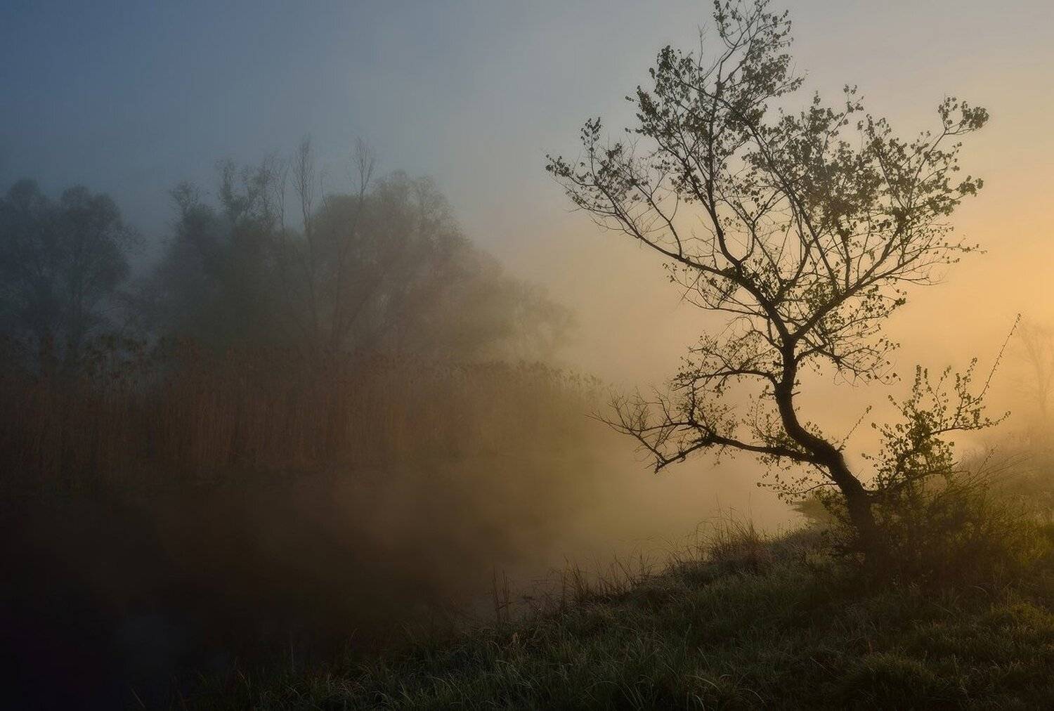 рассвет, река, туман, Животков Андрей