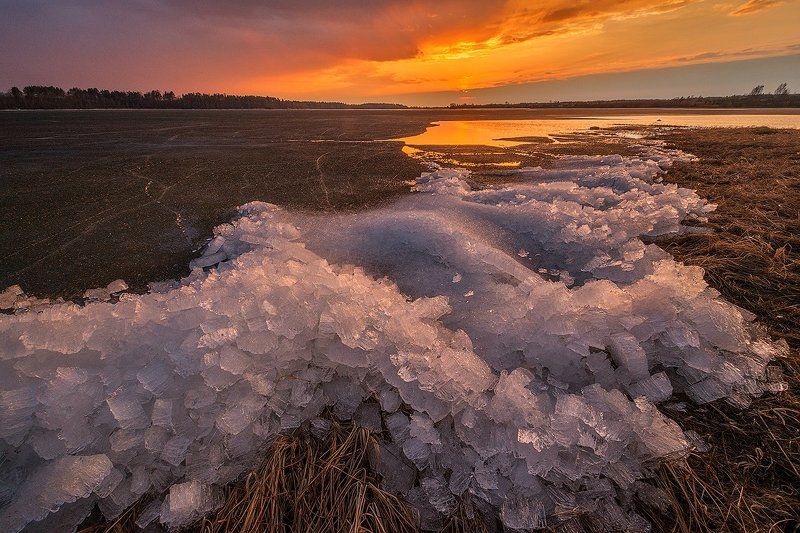 Весна, Вечер, Ферапонтово Хрустальный перезвон весны фото превью