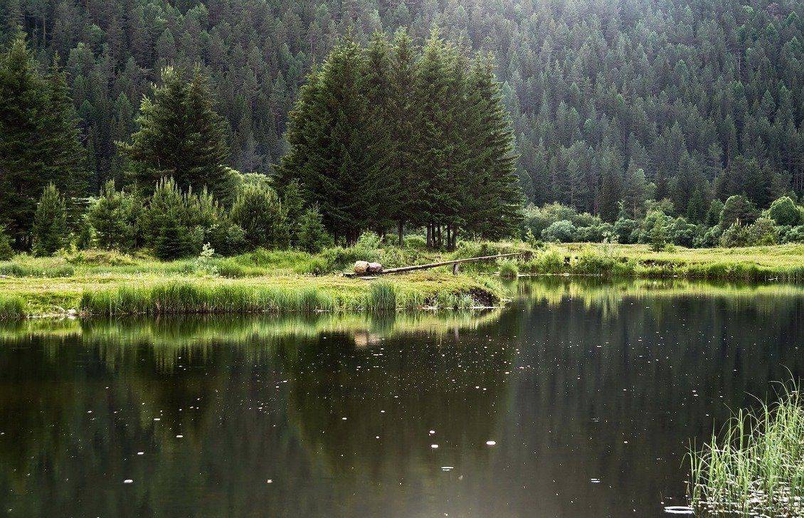 , Марина Фомина