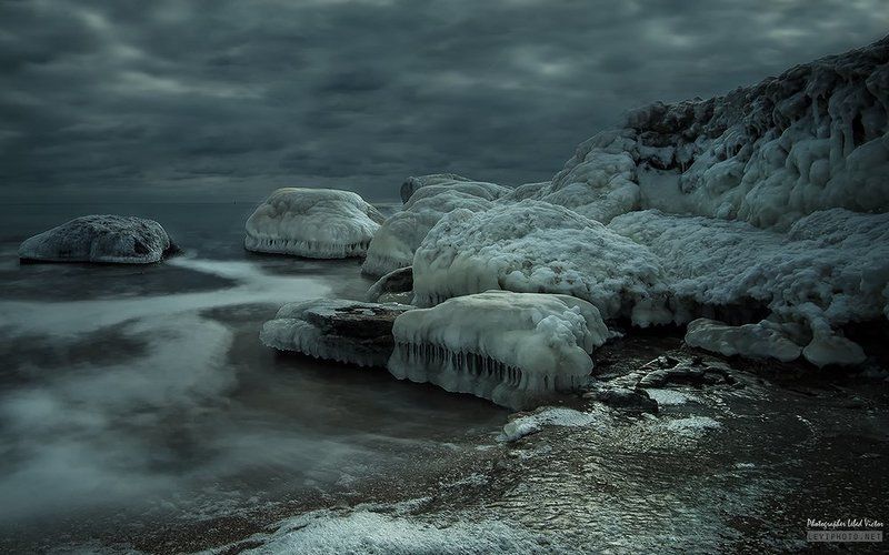 Медузий риф фото превью