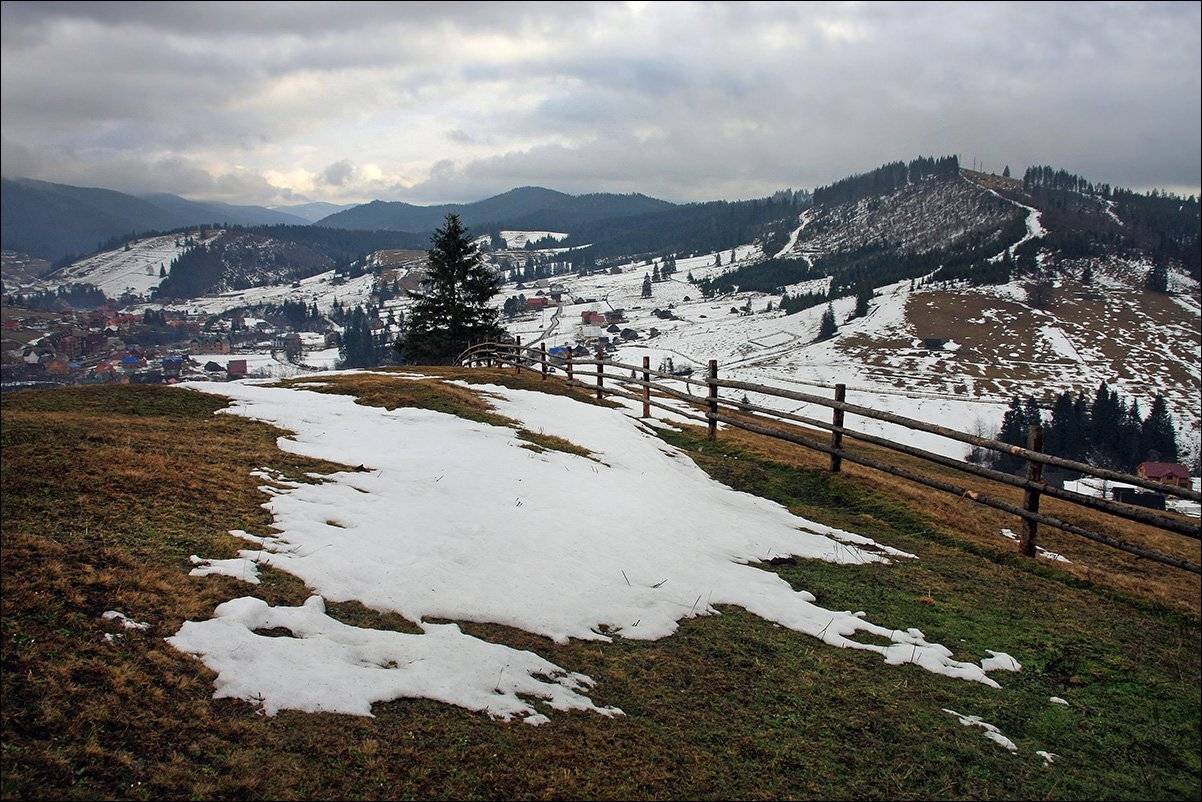 , Тарасов Алексей