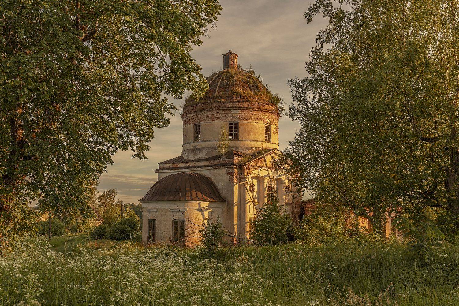 Тверская область, Гусева Елена