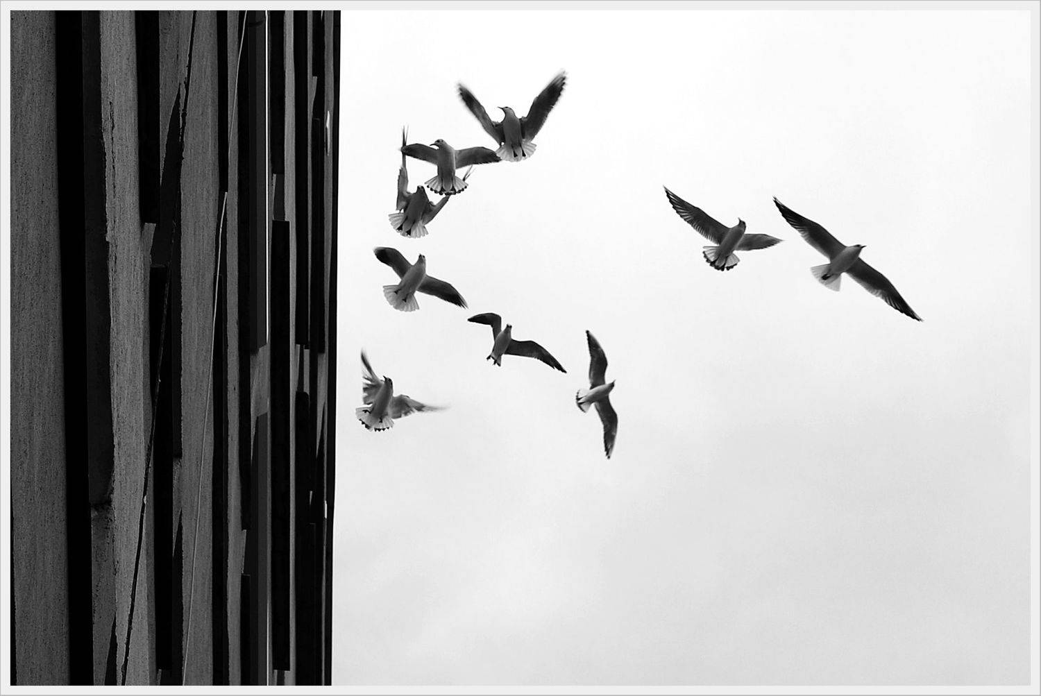 , Krzysztof Trojanowski