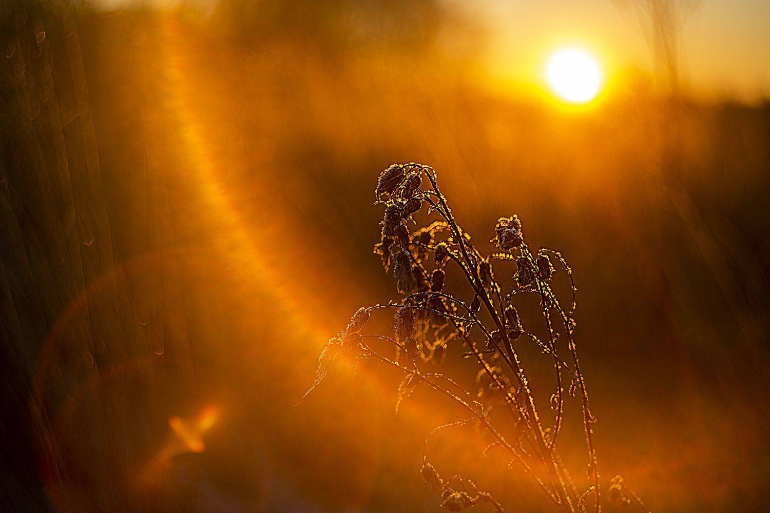 , Владимир Крышковец
