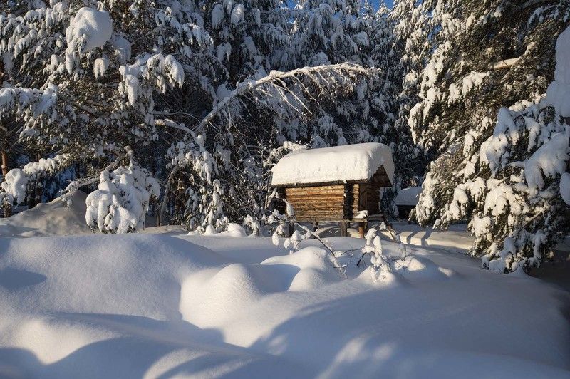 Суеват пауль фото превью