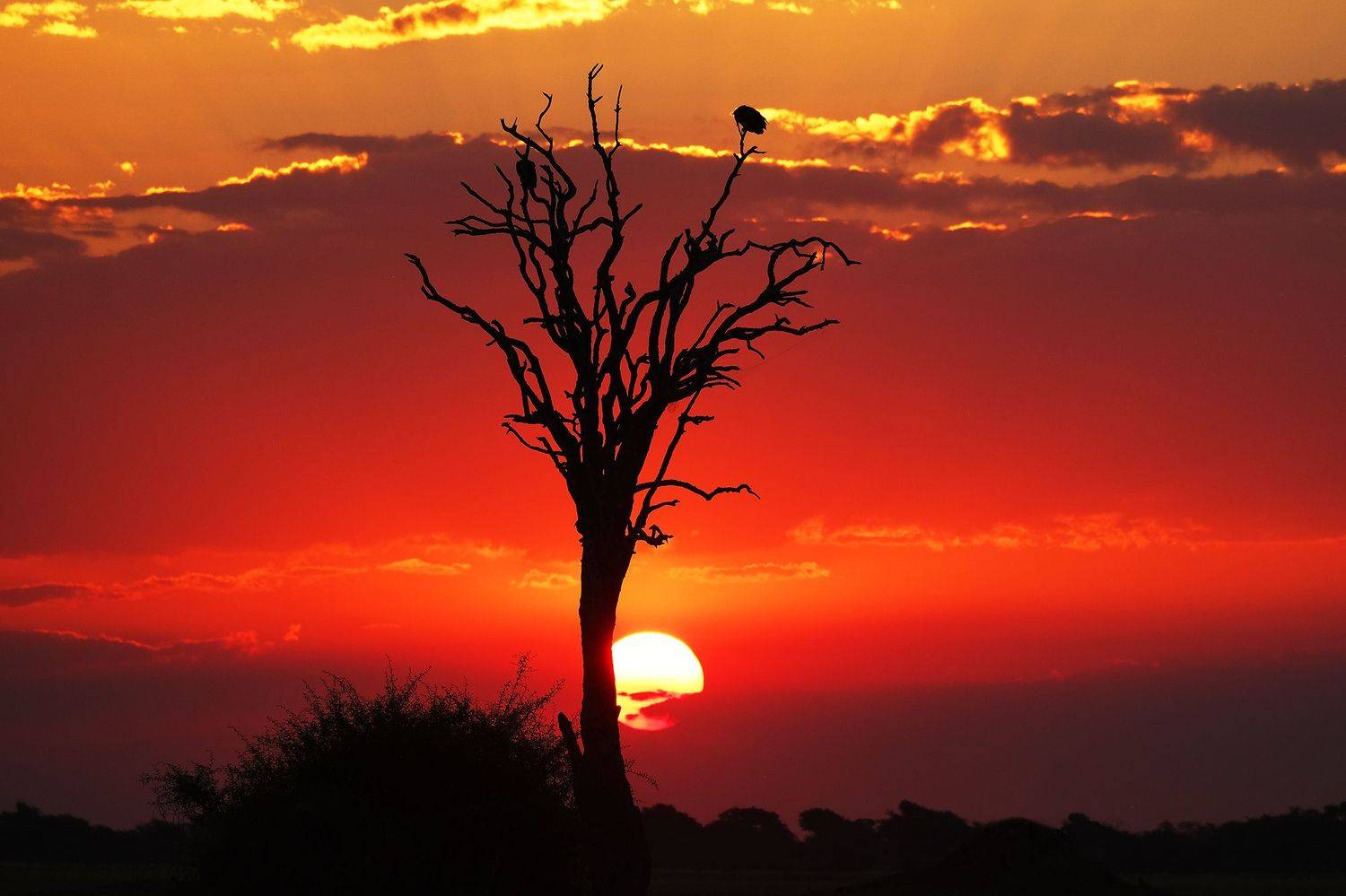 , Худзинская Ирина