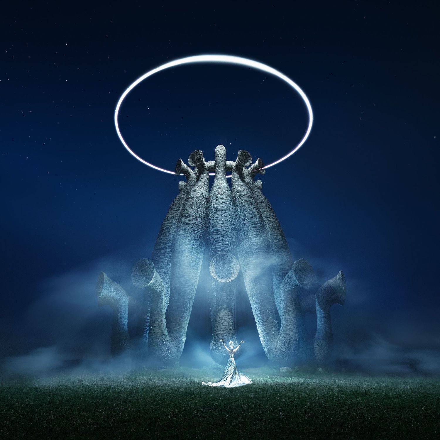 , Анна Политова