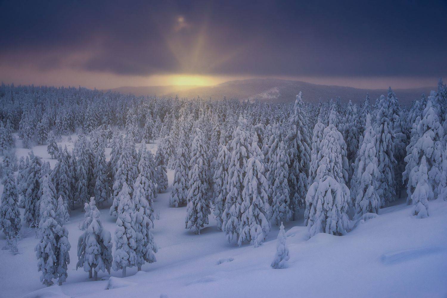 , Даниил Силантьев