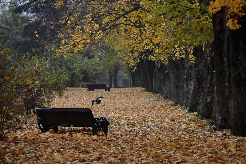 Ноябрь фото превью