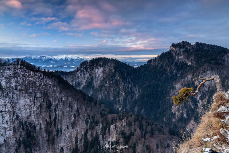 #tatras #mountains #sunrise #slovakia #best #nature #amazing #colours #poland #pieniny #tree #winter Sokolica... фото превью