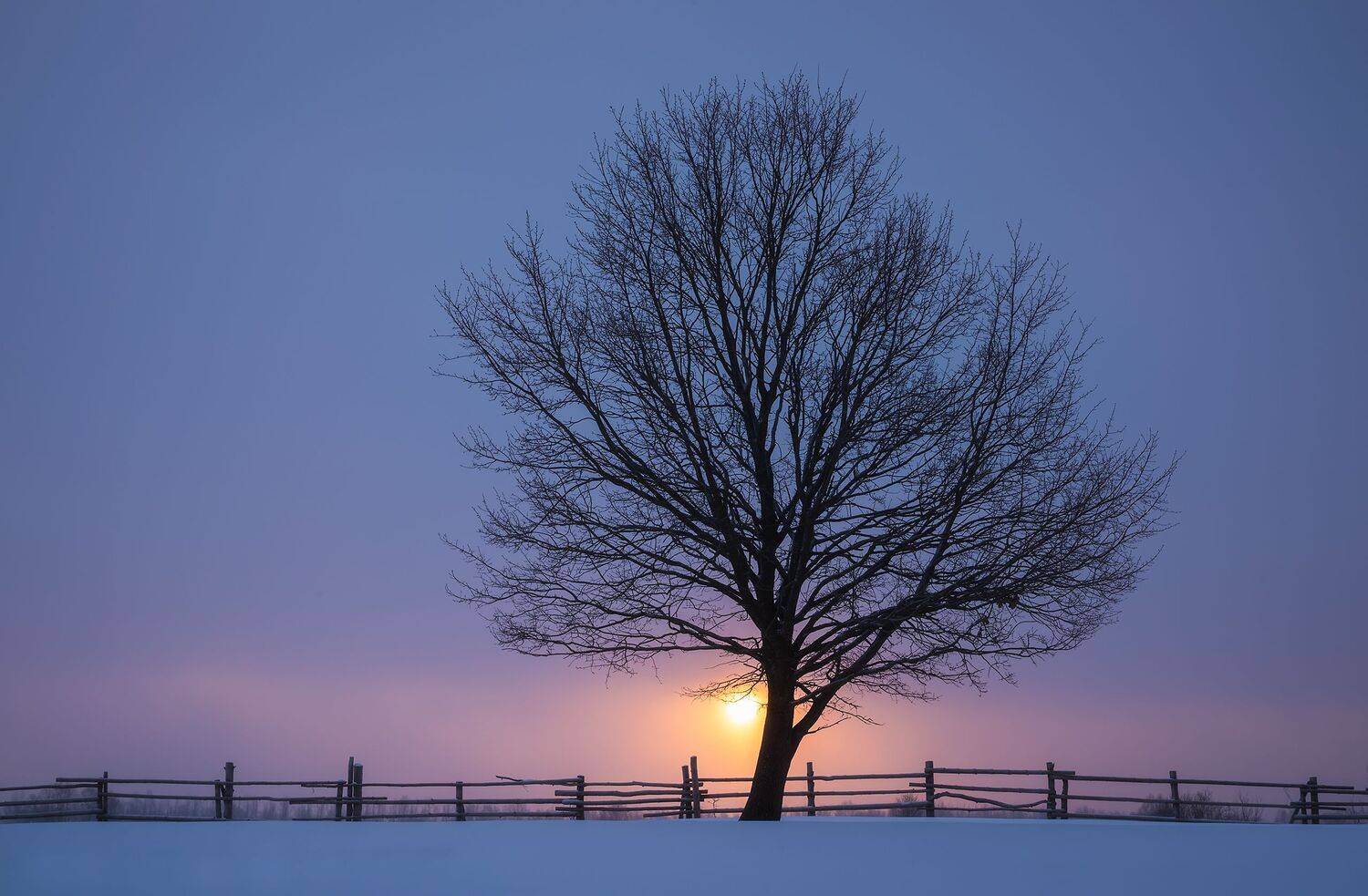 , Захаров Дмитрий